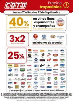 Vista previa del folleto de la tienda Coto válido desde el 17/09/2026 