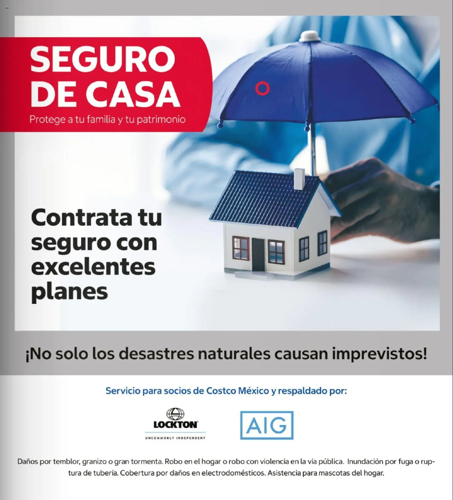 Vista previa las ofertas de la tienda Costco - Costco catálogo Teasure Hunt desde el 26/10/2026 