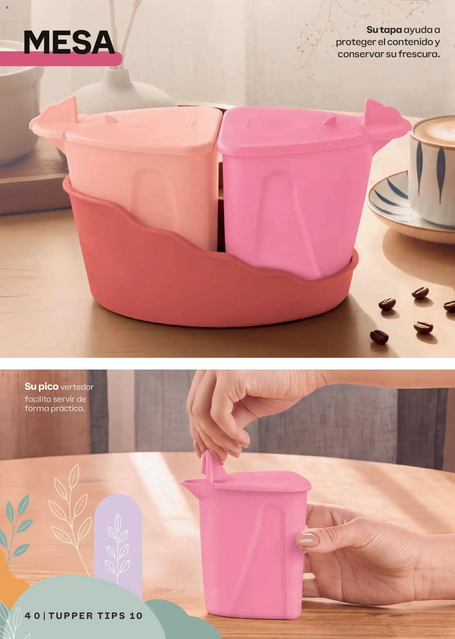 Vista previa las ofertas de la tienda Tupperware - Tupperware catálogo desde el 07/09/2026 