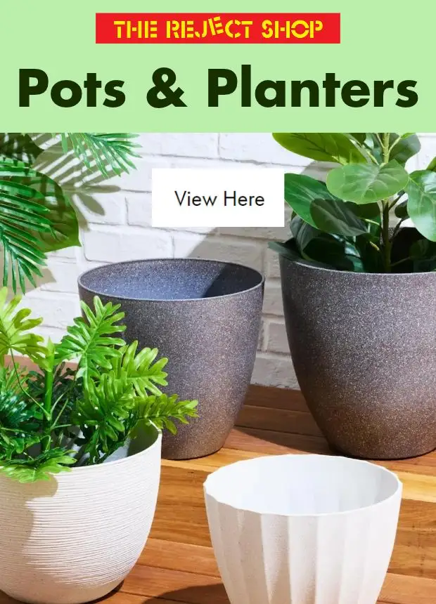 Preview of The Reject Shop Catalogue - Pots & Planters - valid from 23/10/2026