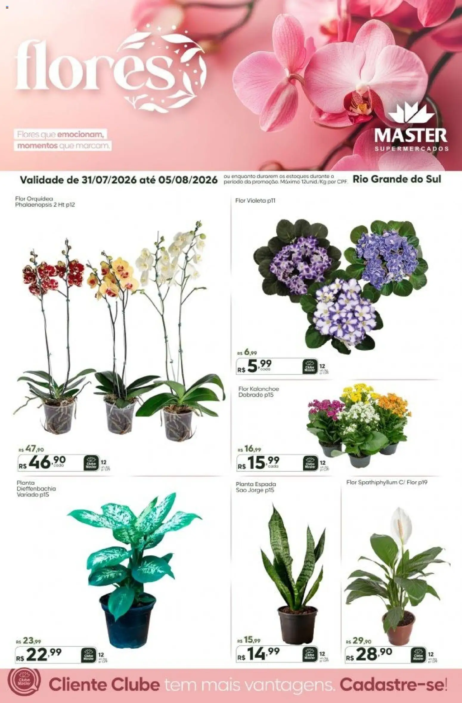 Pré-Visualização do folheto "Master ofertas Flores" da loja Master válido a partir de 31/07/2026