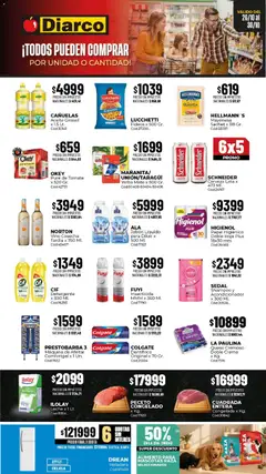 Vista previa del folleto de la tienda Diarco válido desde el 26/10/2026 