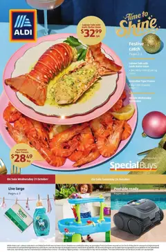 Preview of catalogue Aldi catalogue QLD from shop Aldi valid 21/10/2026