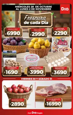 Vista previa del folleto de la tienda Dia válido desde el 28/10/2026 