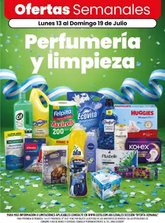 Vista previa del folleto de la tienda Coto válido desde el 13/07/2026 