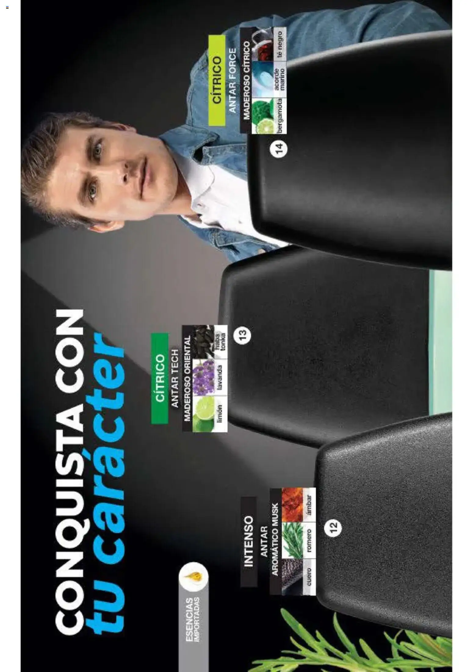 Vista previa las ofertas de la tienda Fuller - Fuller campaña 12 2026 desde el 16/09/2026 