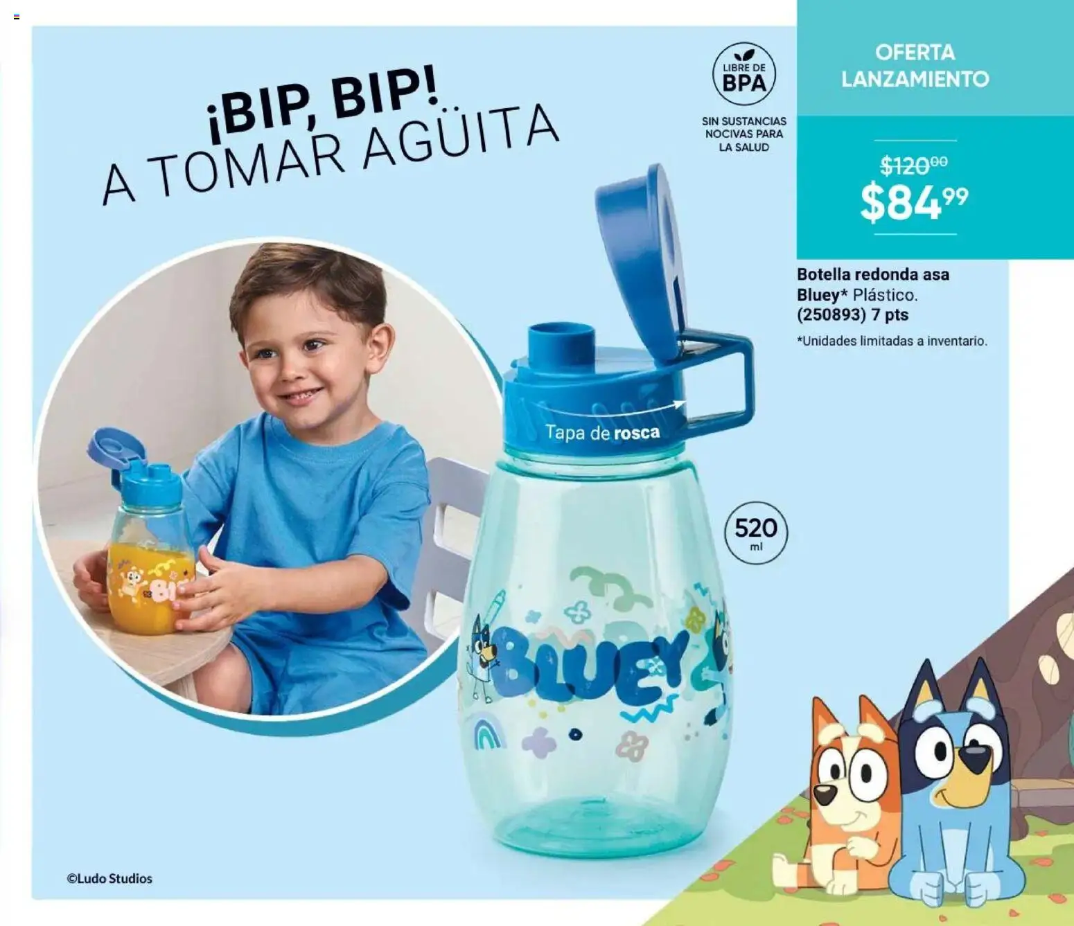 Vista previa las ofertas de la tienda AVON - AVON Casa & Estilo 13 2026 desde el 21/08/2026 
