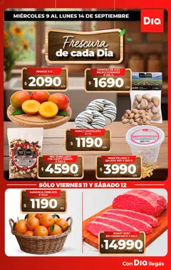 Vista previa del folleto de la tienda Dia válido desde el 08/09/2026 
