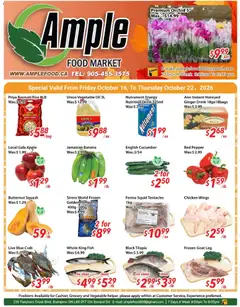 Preview of leaflet Ample Food Market weekly flyer Brampton from shop Ample Food Market is valid from Oct 16, 2026