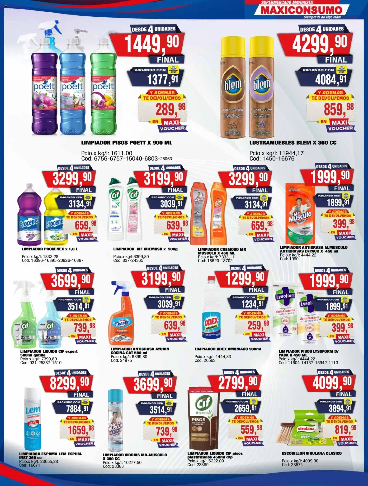 Vista previa del folleto de la tienda Maxiconsumo válido desde el 19/10/2026 