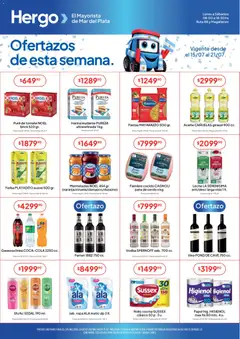 Vista previa del folleto de la tienda Hergo válido desde el 15/07/2026 