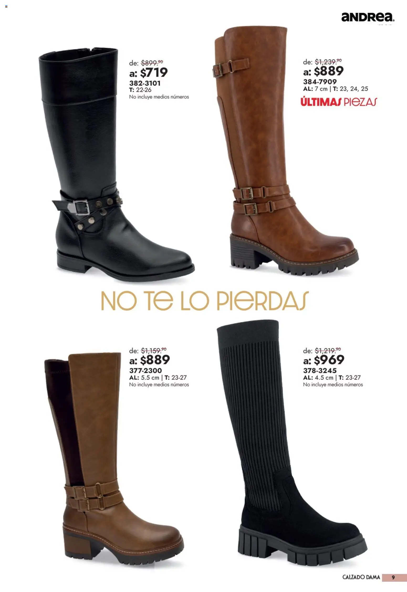 Vista previa las ofertas de la tienda Andrea - Andrea catálogo Outlet desde el 13/09/2026 