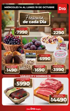 Vista previa del folleto de la tienda Dia válido desde el 14/10/2026 