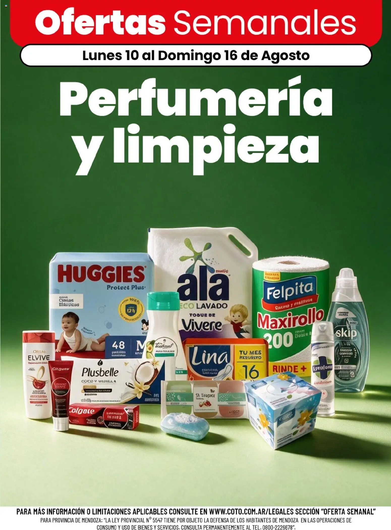 Vista previa del folleto de la tienda Coto válido desde el 10/08/2026 
