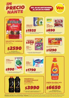 Vista previa del folleto de la tienda Vea válido desde el 30/09/2026 