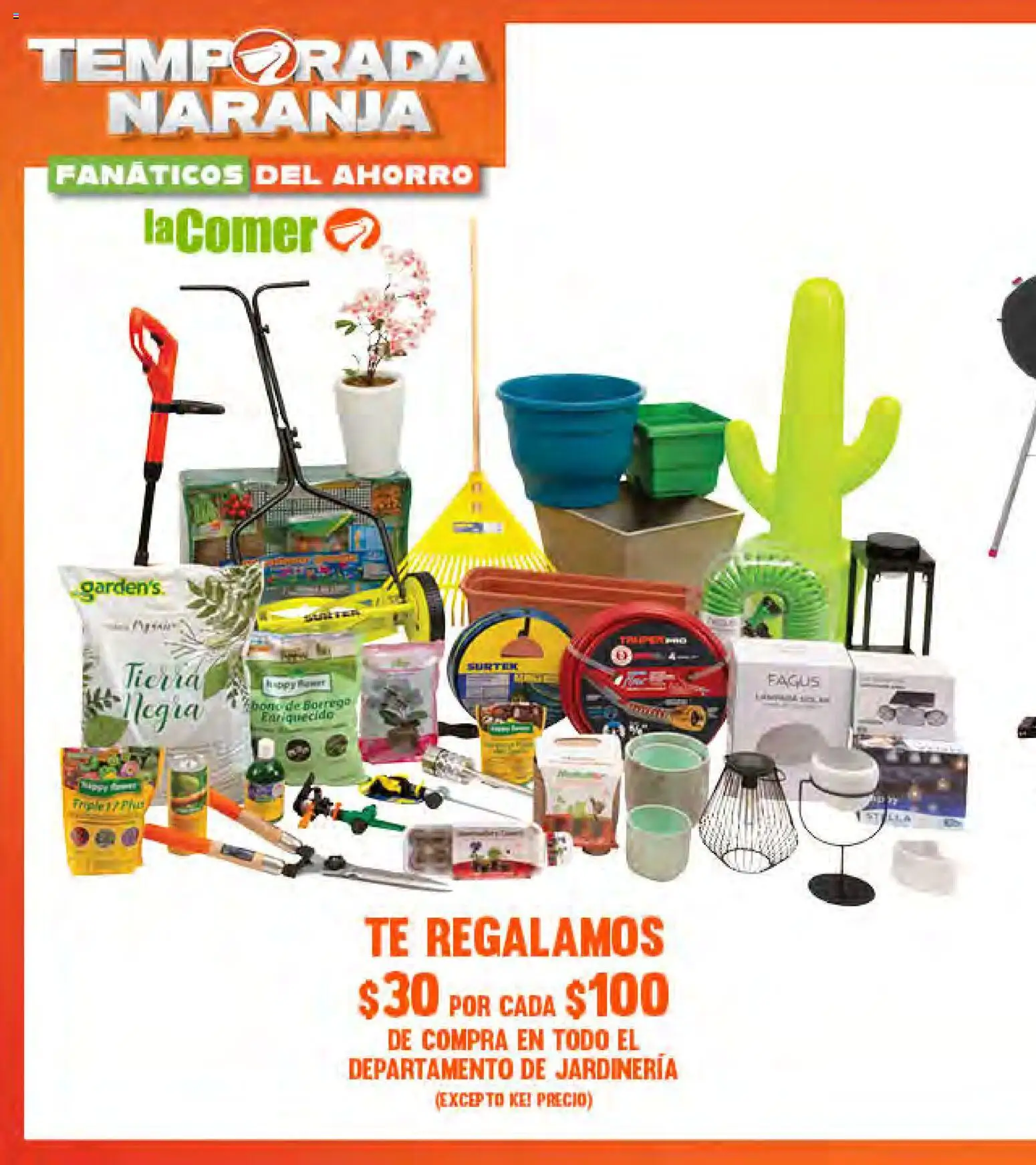 Vista previa las ofertas de la tienda La Comer - La Comer folleto desde el 05/08/2026 