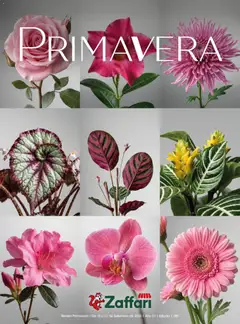 Pré-Visualização do folheto "Zaffari ofertas Primavera - RS" da loja Zaffari válido a partir de 15/09/2026