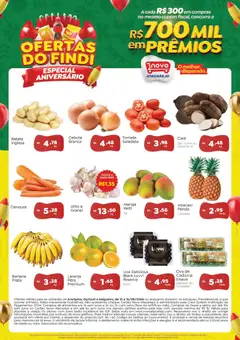 Pré-Visualização do folheto "Novo Atacarejo ofertas Ofertas do Findi Hortifruti" da loja Novo Atacarejo válido a partir de 15/08/2026