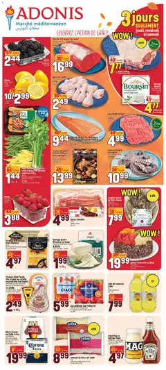 Un aperçu du dépliant Adonis weekly flyer du magasin Adonis est valide à partir 8 oct. 2026