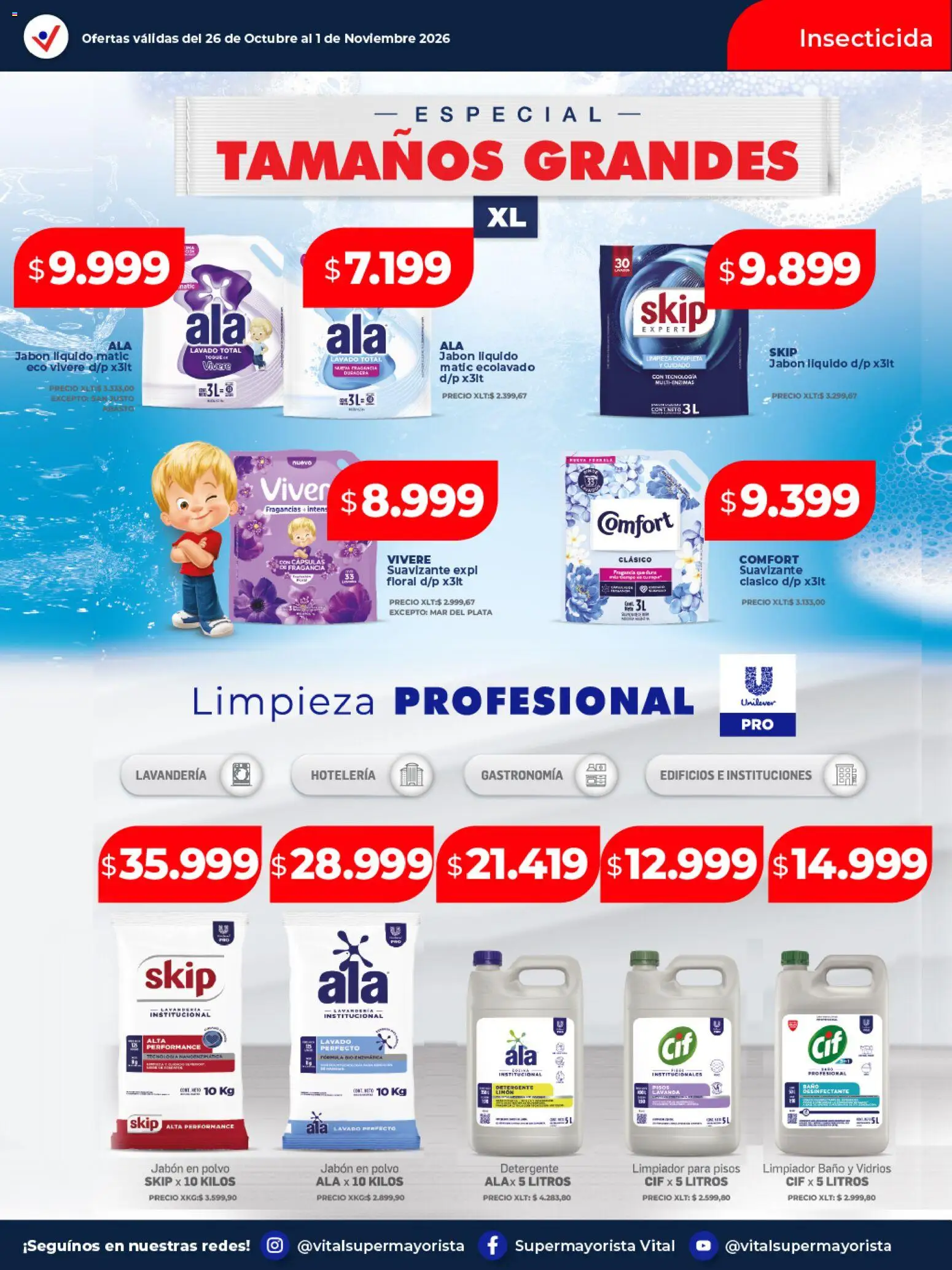 Vista previa del folleto de la tienda Vital válido desde el 26/10/2026 