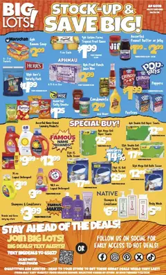 Ad Preview of Big Lots Big Lots Weekly Ad from 08/13/2026