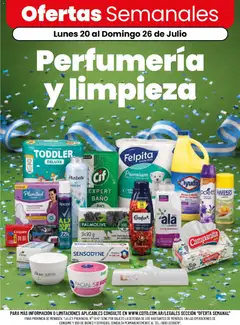 Vista previa del folleto de la tienda Coto válido desde el 20/07/2026 
