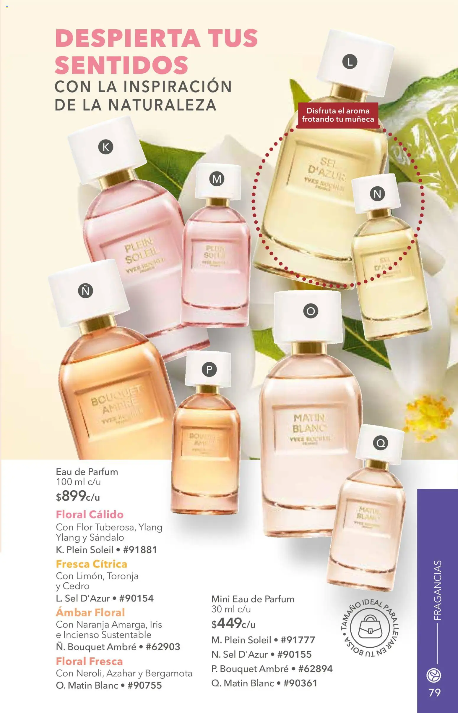Vista previa las ofertas de la tienda Yves Rocher - Yves Rocher campaña 12 2026 desde el 25/08/2026 