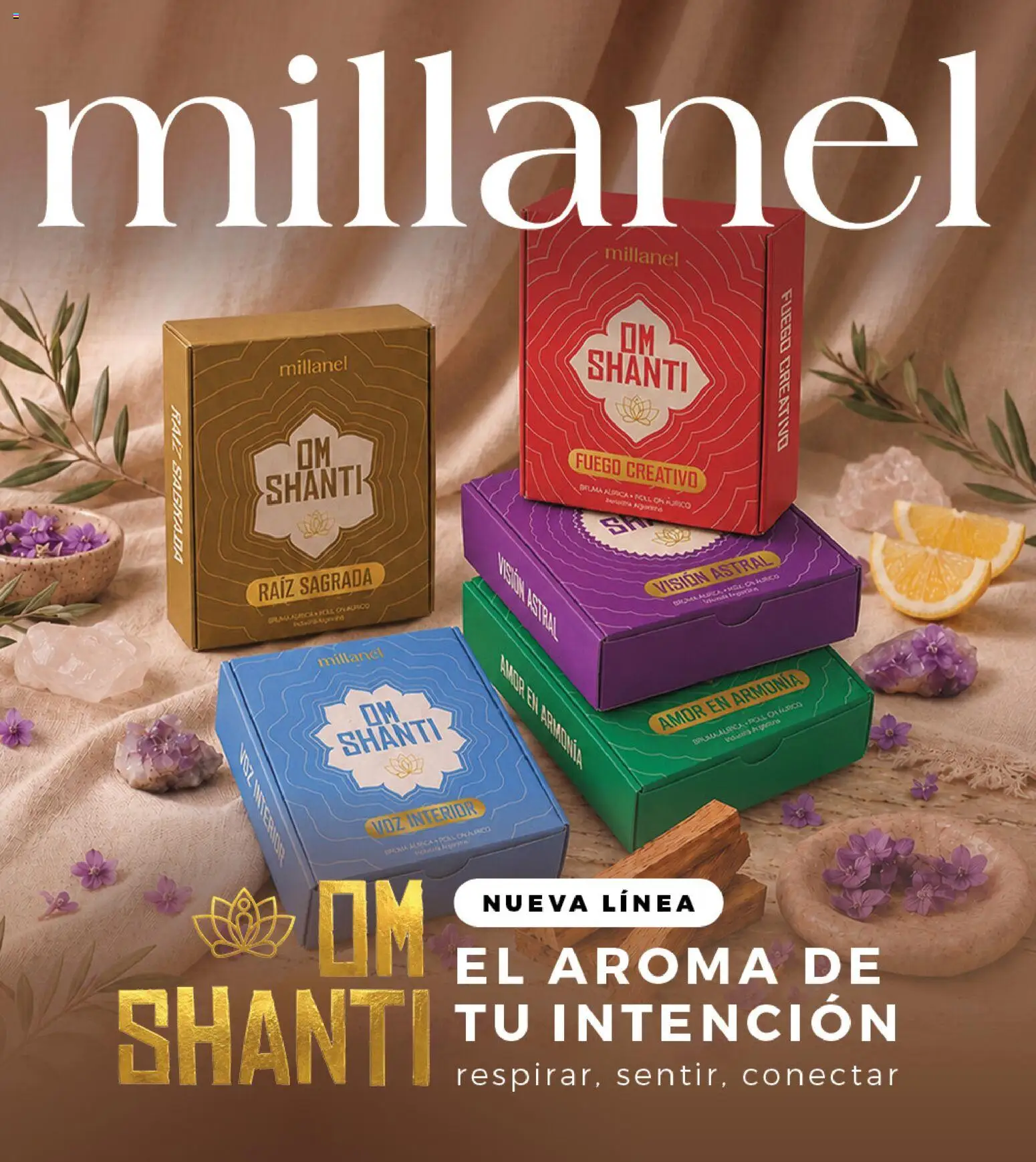 Vista previa del folleto de la tienda Millanel válido desde el 19/10/2026 