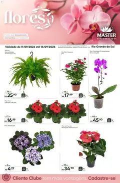 Pré-Visualização do folheto "Master ofertas Flores" da loja Master válido a partir de 11/09/2026