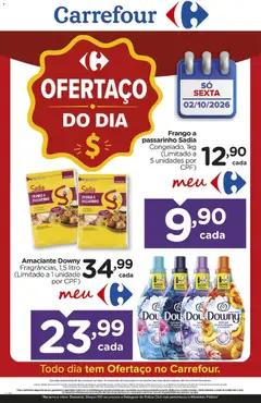 Pré-Visualização do folheto "Carrefour ofertas do Dia" da loja Carrefour válido a partir de 02/10/2026