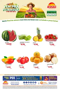Pré-Visualização do folheto "Assaí Atacadista ofertas - SP" da loja Assaí Atacadista válido a partir de 28/08/2026