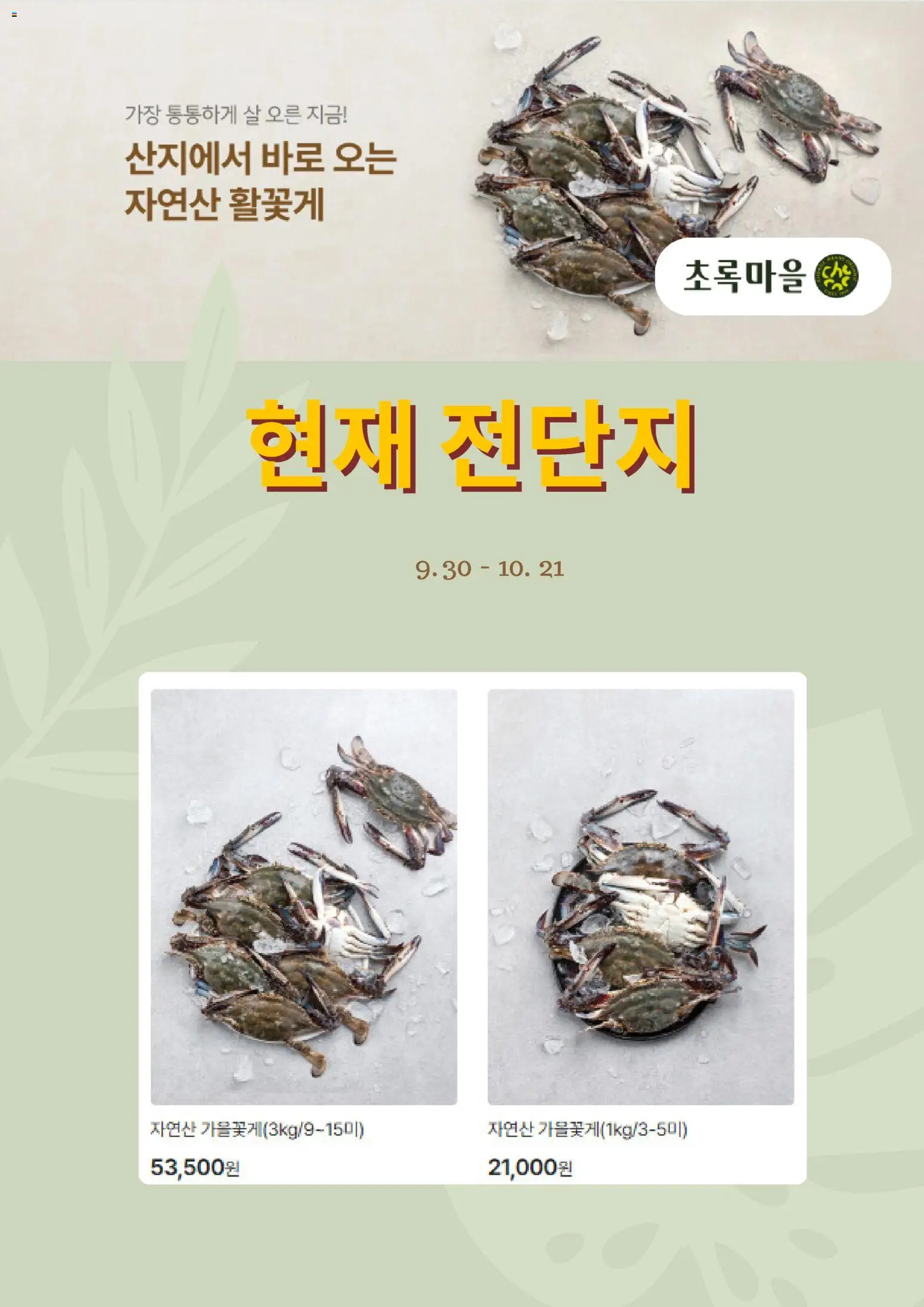 {StrartDate}까지 초록마을 쇼핑몰에서 전단 초록마을 - 현재 전단지 미리 보기