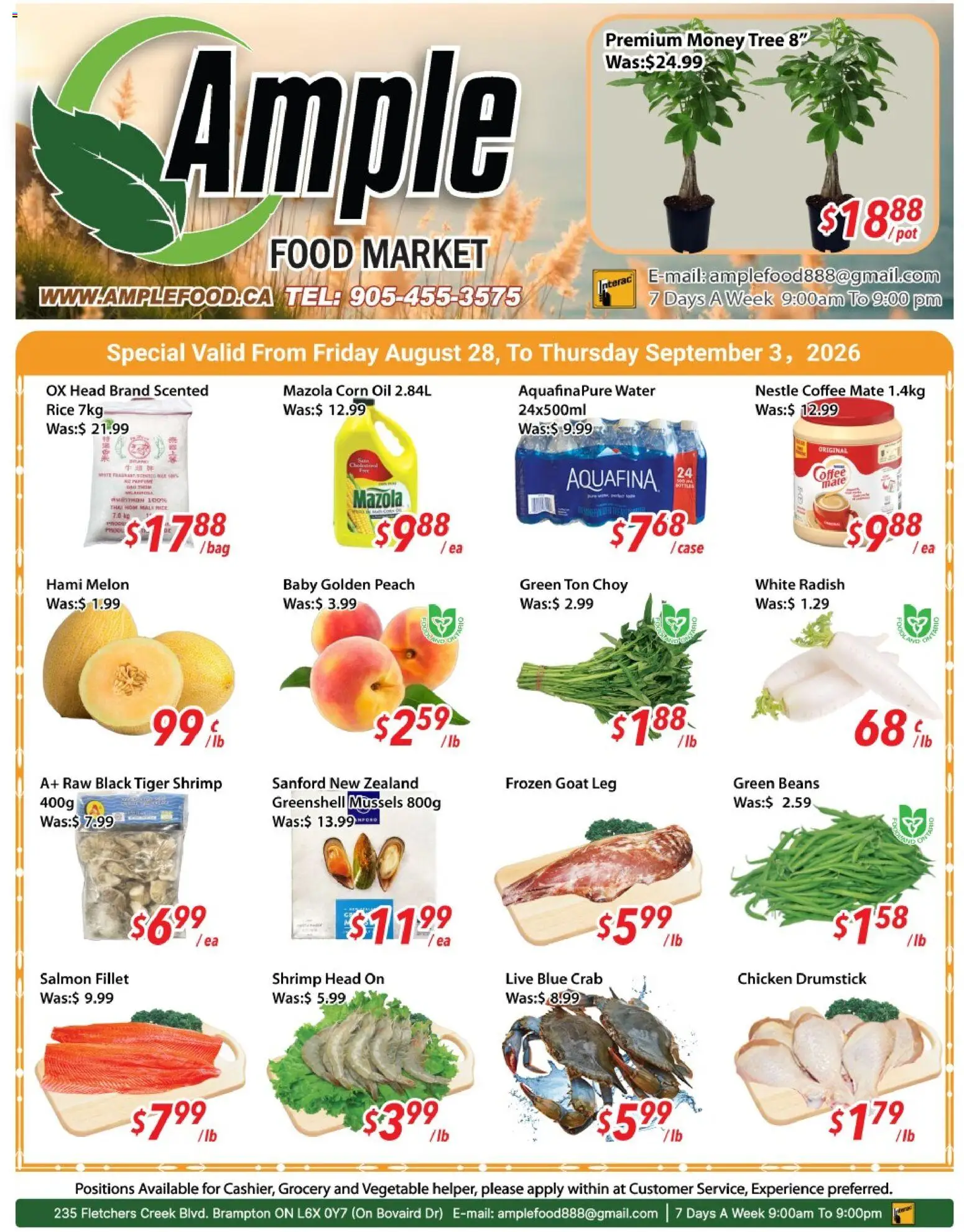 Preview of leaflet Ample Food Market weekly flyer Brampton from shop Ample Food Market is valid from Aug 28, 2026 - Coffee, Food, Tea, Salmon, Oil, Beans, Case, Fillet