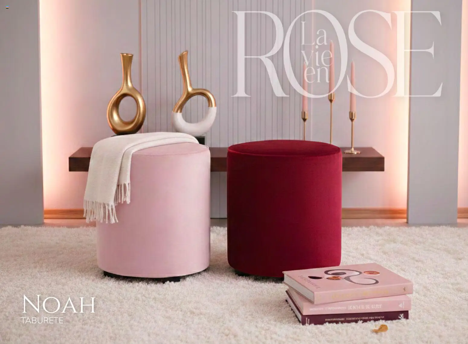 Vista previa las ofertas de la tienda Muebles Dico - Catálogo La Vie en Rose 2026 desde el 06/02/2026 