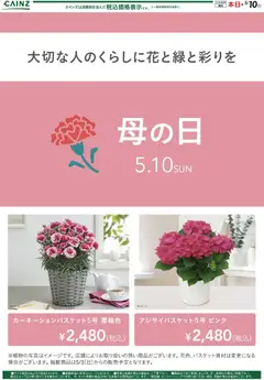 カインズ ホームの2026/05/04から2026/05/10までのチラシはここカインズ ホーム - 母の日