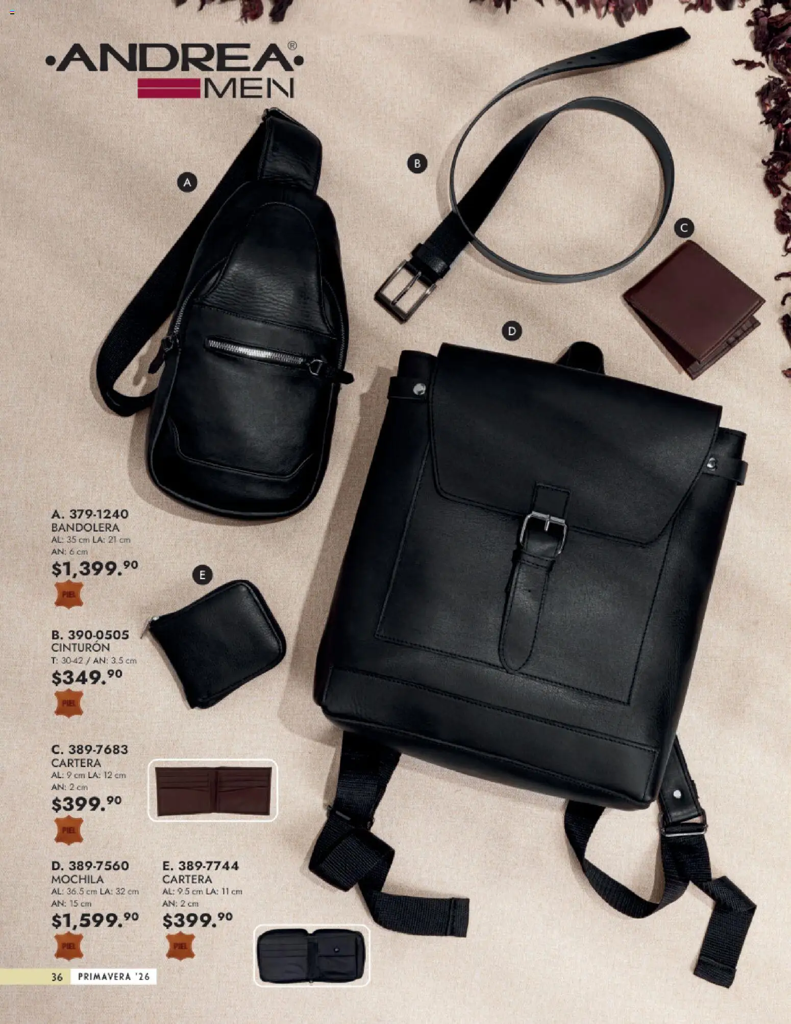 Vista previa las ofertas de la tienda Andrea - Catálogo Primavera desde el 25/01/2026 - Laptop, Mochila, Lentes, Lentes de sol