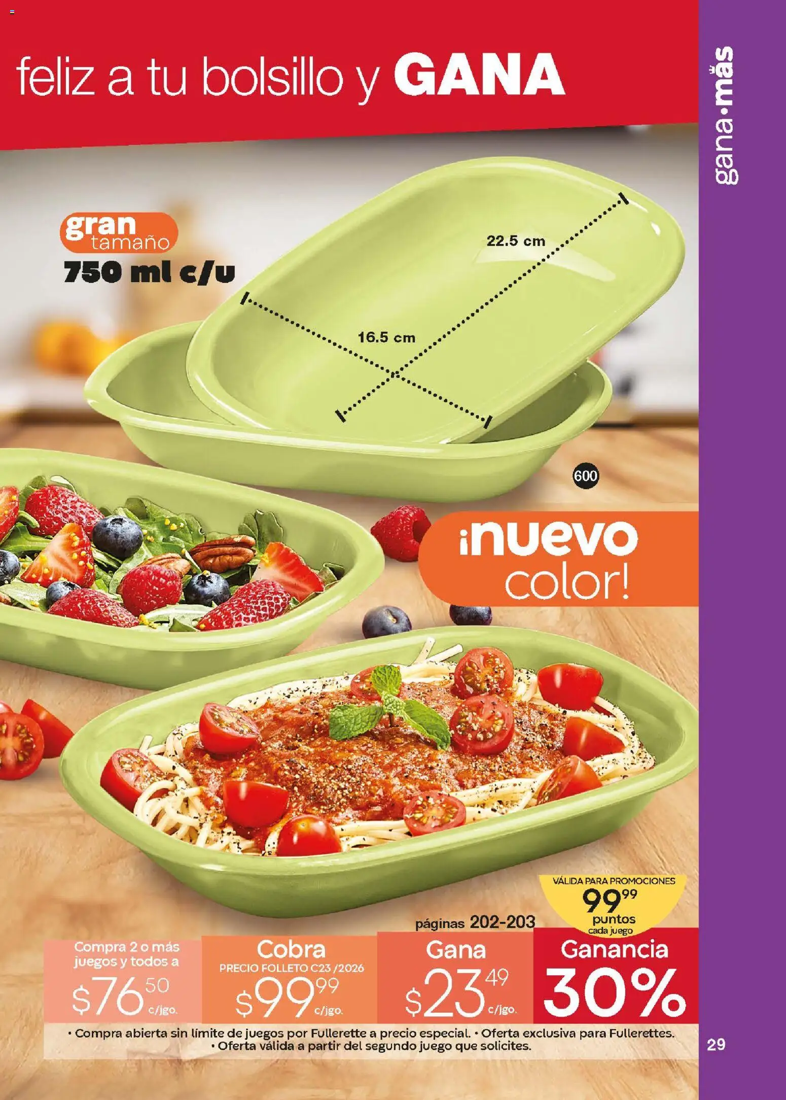 Vista previa las ofertas de la tienda Fuller - Revista Gana Más C23 desde el 18/02/2026 - Juego