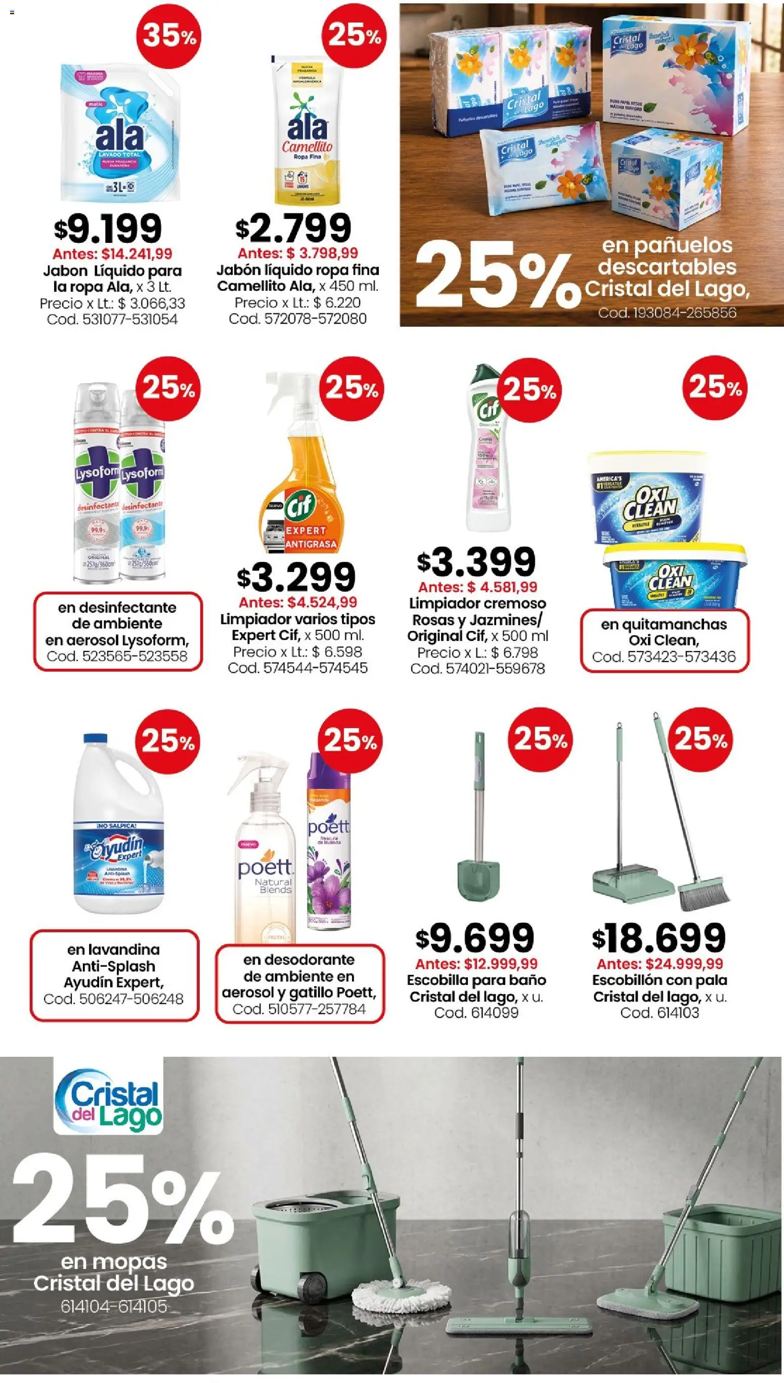 Vista previa del folleto de la tienda Coto válido desde el 10/08/2026 - Ropa, Baño, Lavandina, Jabón líquido, Desodorante de ambiente, Escobilla, Limpiador, Antigrasa