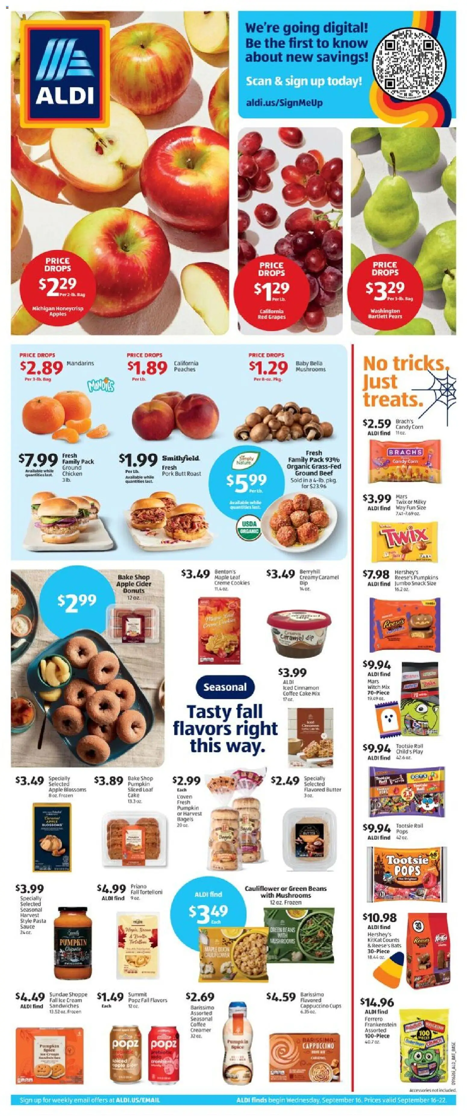 Ad Preview of Aldi Aldi Weekly Ad from 09/16/2026