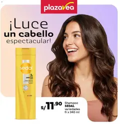 Vista previa de Catálogo Plaza Vea - Díptico Cuidado Personal N2 de la tienda Plaza Vea válido desde 15/06/2026