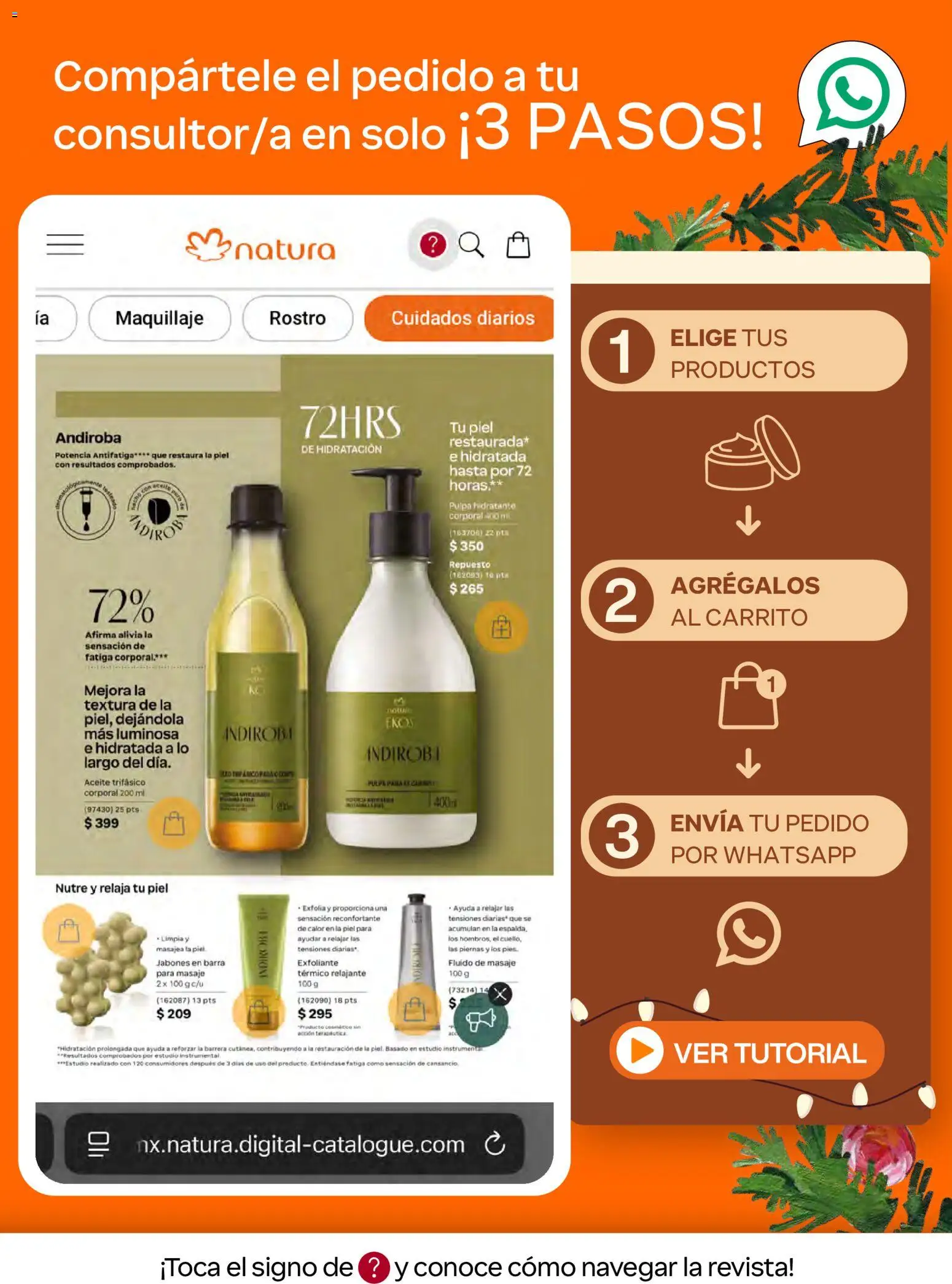 Vista previa las ofertas de la tienda Natura - Natura campaña 17 2026 desde el 07/11/2026 