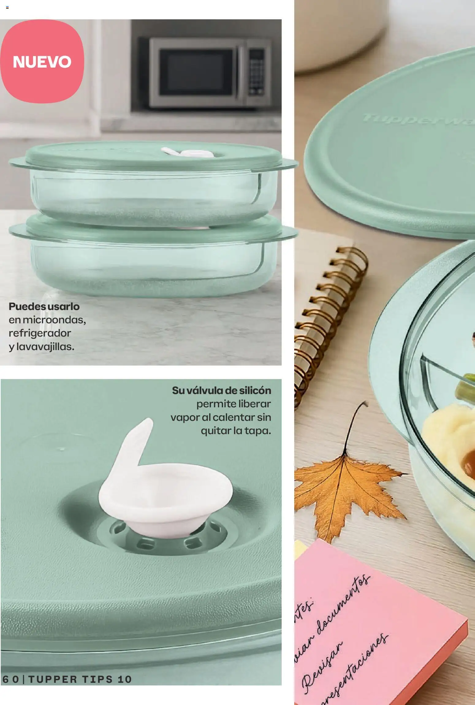 Vista previa las ofertas de la tienda Tupperware - Tupperware catálogo desde el 07/09/2026 