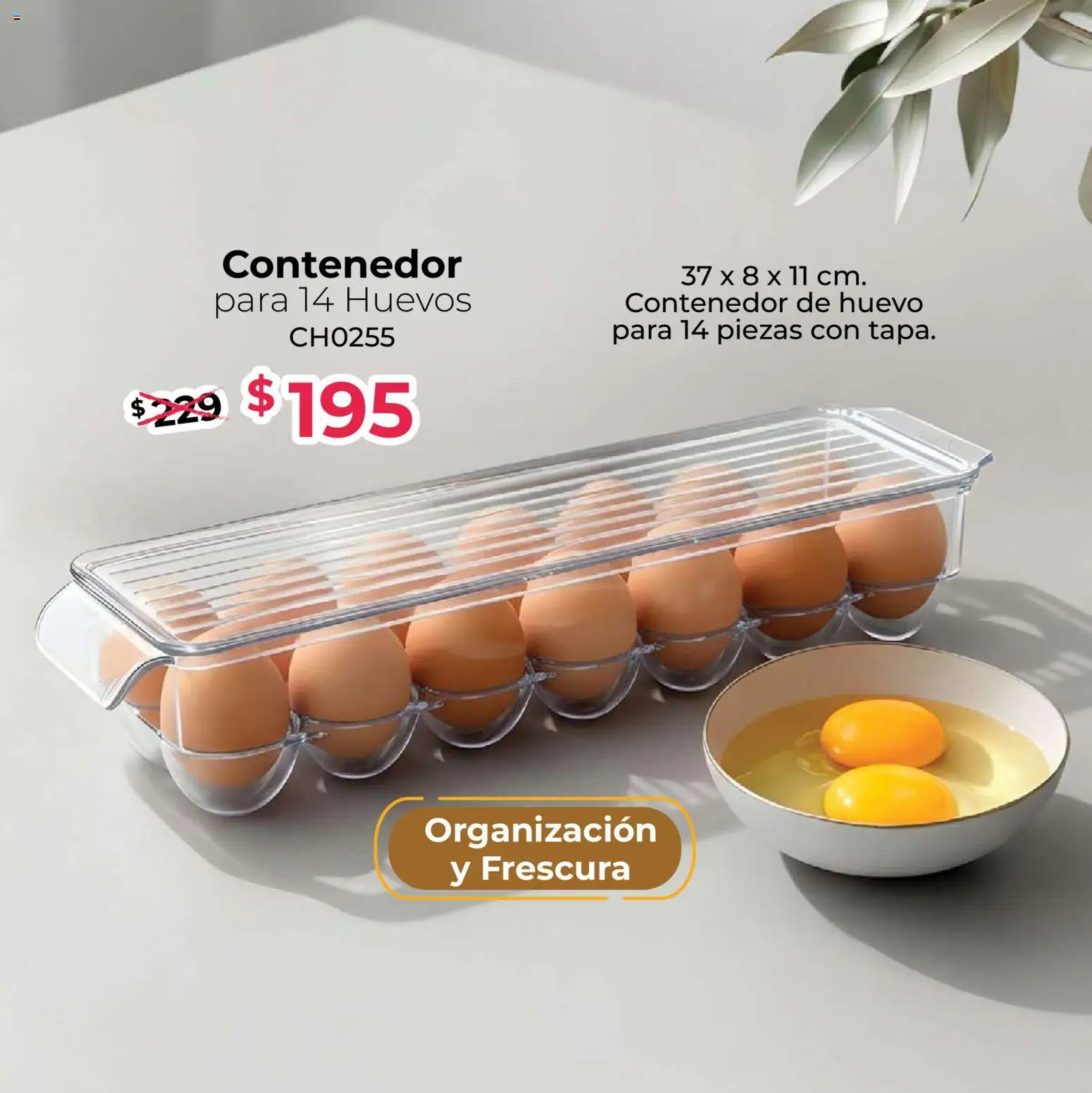 Vista previa las ofertas de la tienda Colchas Concord - Colchas Concord catálogo Home desde el 01/09/2026 