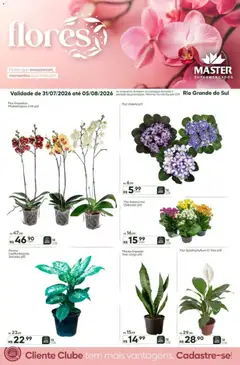 Pré-Visualização do folheto "Master ofertas Flores" da loja Master válido a partir de 31/07/2026