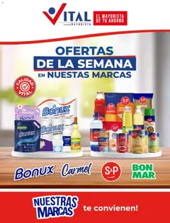 Vista previa del folleto de la tienda Vital válido desde el 26/10/2026 