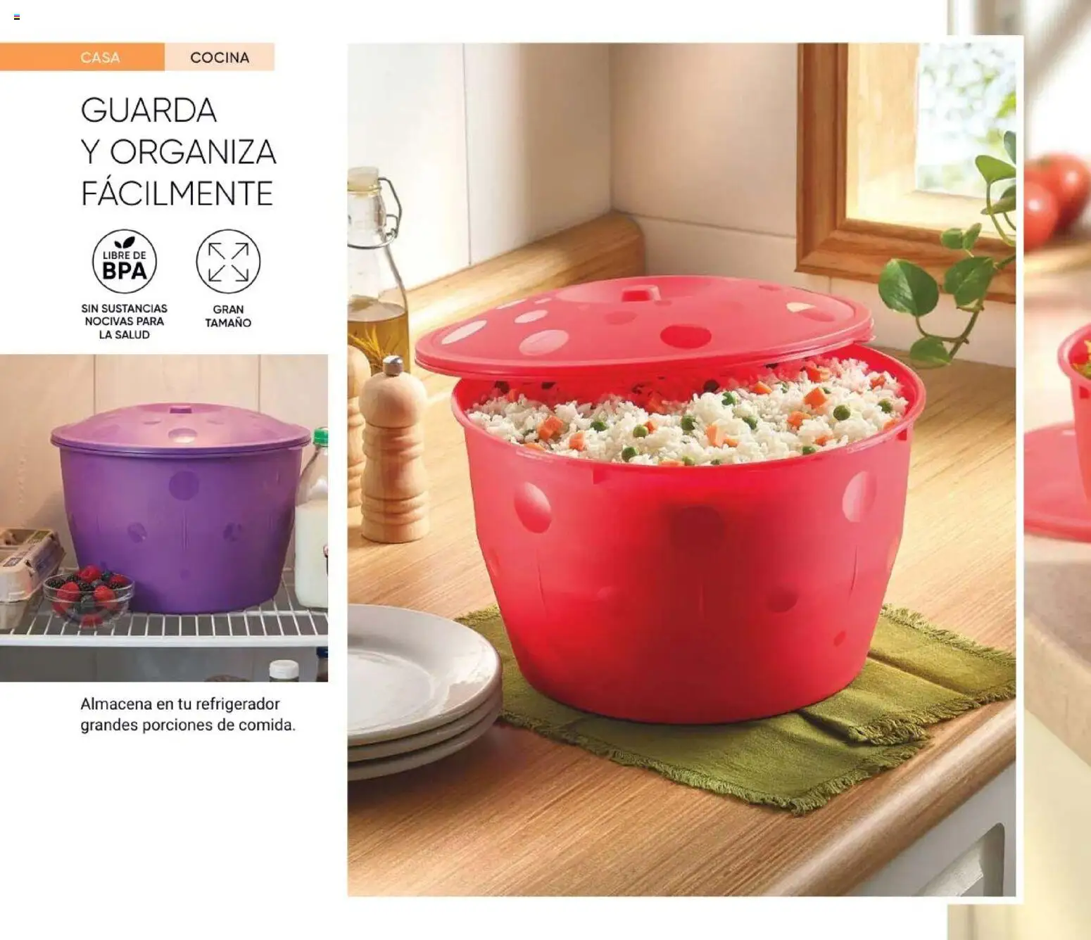 Vista previa las ofertas de la tienda AVON - AVON Casa & Estilo 13 2026 desde el 21/08/2026 