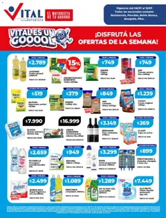 Vista previa del folleto de la tienda Vital válido desde el 06/07/2026 