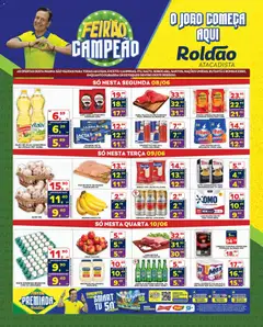 Pré-Visualização do folheto "Roldão - Ofertas da semana" da loja Roldão válido a partir de 08/06/2026