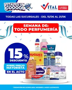 Vista previa del folleto de la tienda Vital válido desde el 15/06/2026 
