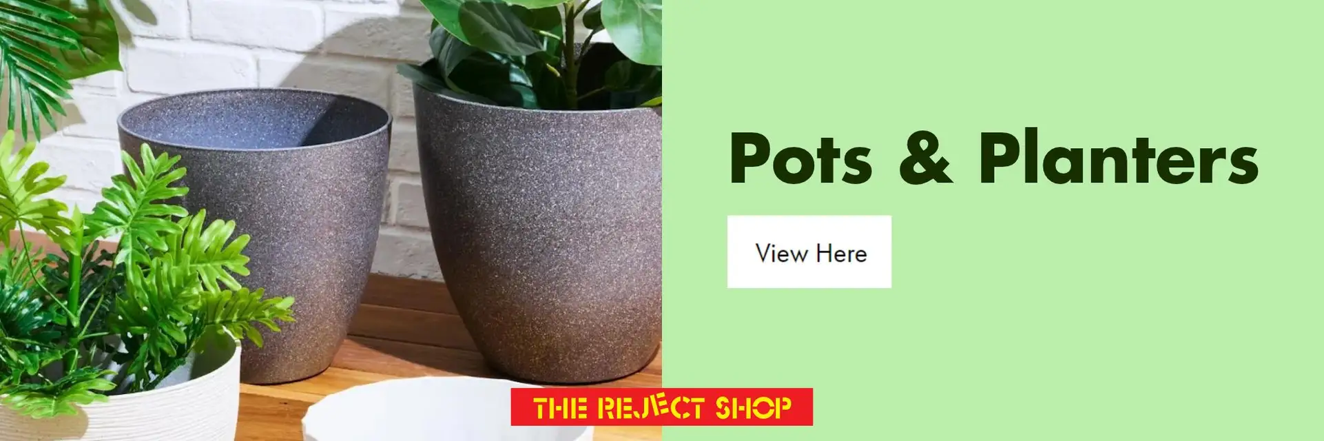 Pots & Planters
